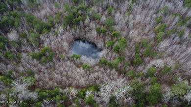 176 Acres near Mendenhall, MS The land is a strong mix for - photo 35