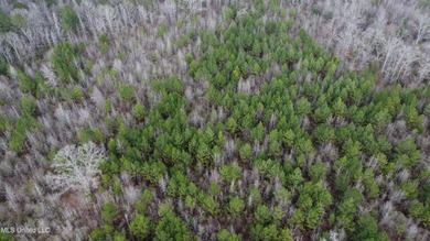 176 Acres near Mendenhall, MS The land is a strong mix for - photo 36