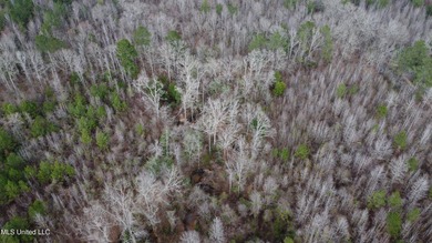 176 Acres near Mendenhall, MS The land is a strong mix for - photo 37