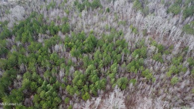 176 Acres near Mendenhall, MS The land is a strong mix for - photo 38