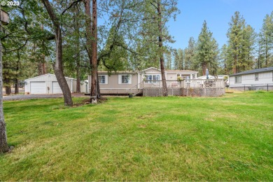 Pine Hollow Reservoir Home For Sale in Tyghvalley Oregon