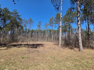 Prairie Lake - Barron County Lot For Sale in Cameron Wisconsin