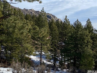 Clear Creek Tahoe is Northern Nevada's most exciting new - photo 3