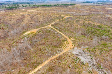 Tennessee River - Benton County Acreage For Sale in Holladay Tennessee