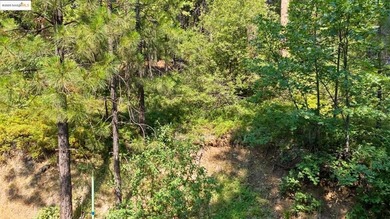 (private lake, pond, coastal) Lot For Sale in Long Barn California