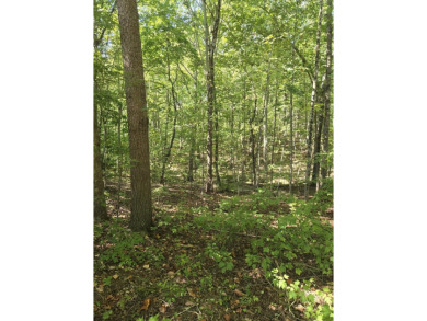 Lake Acreage For Sale in Graysville, Tennessee