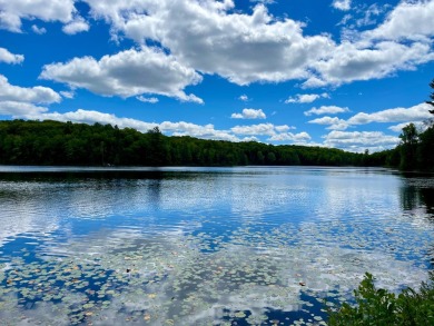 Lake Lot Off Market in Watersmeet, Michigan