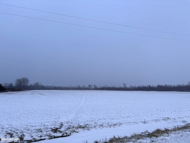 (private lake, pond, creek) Acreage For Sale in Lexington Michigan