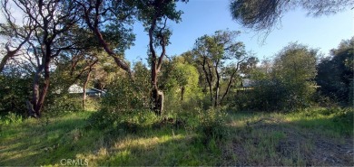 Lake Lot For Sale in Clearlake, California