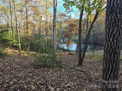 (private lake, pond, creek) Lot For Sale in Lake Lure North Carolina