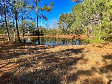 (private lake, pond, creek) Commercial For Sale in Nacogdoches Texas
