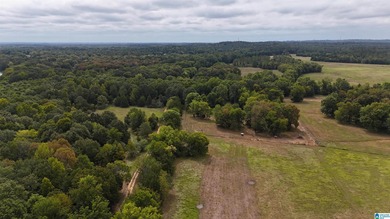 Alabama Hunting land, a premier hunting and fishing destination