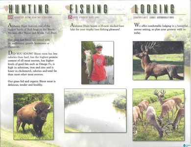 Alabama Hunting land, a premier hunting and fishing destination