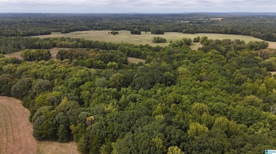 Alabama Hunting land, a premier hunting and fishing destination