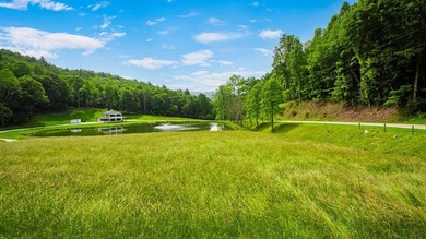Imagine stepping onto a breathtaking 140.89-acre unrestricted - photo 3