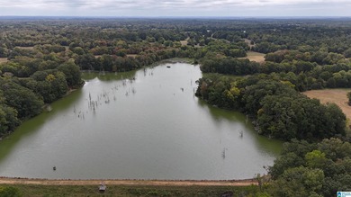 Alabama Hunting land, a premier hunting and fishing destination