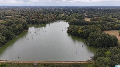 Alabama Hunting land, a premier hunting and fishing destination