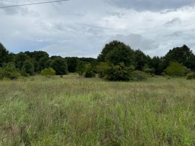  Lot Sale Pending in Midland City Alabama