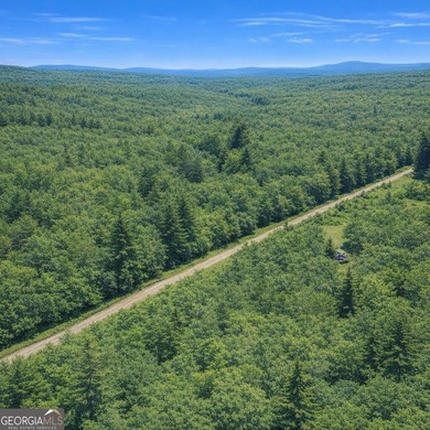 Welcome to 2.04 acres located in Midway, Liberty County! This - photo 4