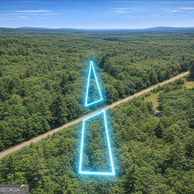 Welcome to 2.04 acres located in Midway, Liberty County! This - photo 5