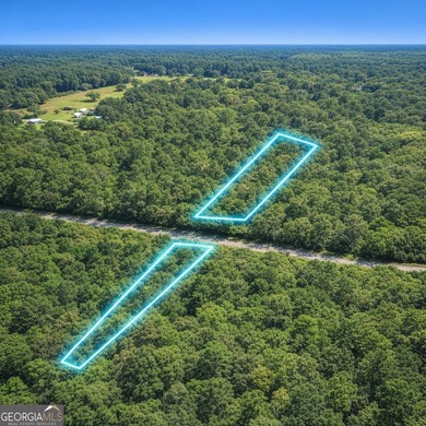 Welcome to 2.04 acres located in Midway, Liberty County! This - photo 7