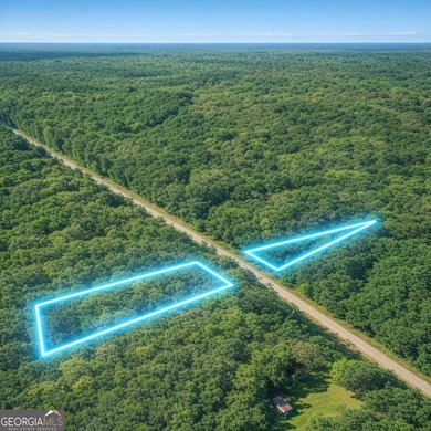 Welcome to 2.04 acres located in Midway, Liberty County! This - photo 8