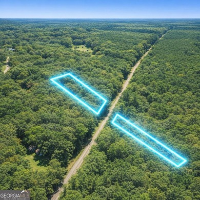 Welcome to 2.04 acres located in Midway, Liberty County! This - photo 9