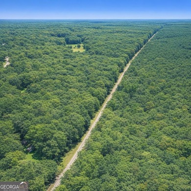 Welcome to 2.04 acres located in Midway, Liberty County! This - photo 10