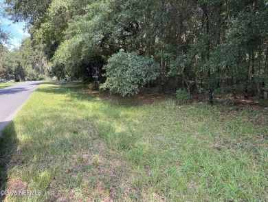 Lake Lot For Sale in Interlachen, Florida