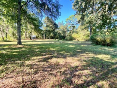 Lake Seminole Lot For Sale in Donalsonville Georgia