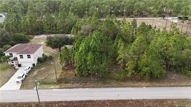 Lehigh Acres Area Lot For Sale in Lehigh Acres Florida
