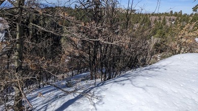 San Antonio Dr - photo 33