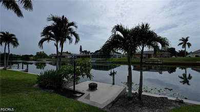 Welcome to your dream home in Cape Coral! This stunning - photo 35