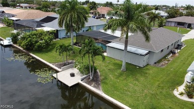 Welcome to your dream home in Cape Coral! This stunning - photo 38