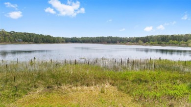 Lake Home For Sale in Ocklawaha, Florida