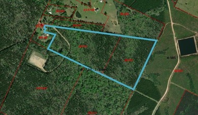Toledo Bend Lake Acreage For Sale in Shelbyville Texas