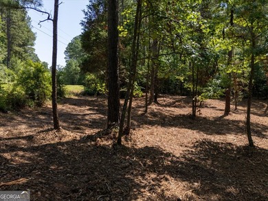 Build with confidence on a property that's already one step - photo 9