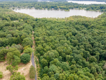 Little Paw Paw Lake Home For Sale in Coloma Michigan