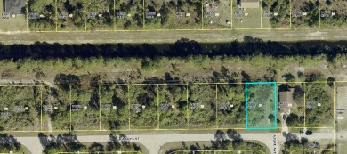 Lehigh Acres Area Lot For Sale in Lehigh Acres Florida