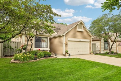 (private lake, pond, creek) Home For Sale in Bloomingdale Illinois
