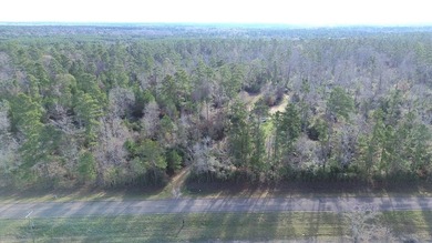 (private lake, pond, coastal) Acreage For Sale in Lovelady Texas