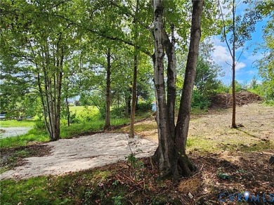 Lake Anna Waterfront Lot - 2 Acres, Lot partially cleared! - photo 6