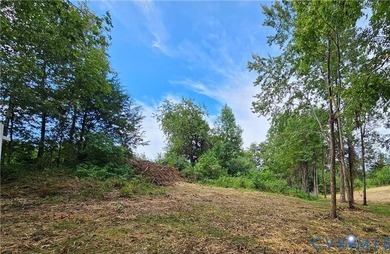Lake Anna Waterfront Lot - 2 Acres, Lot partially cleared! - photo 8