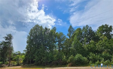 Lake Anna Waterfront Lot - 2 Acres, Lot partially cleared! - photo 10