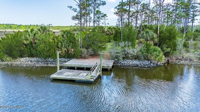 Discover the beauty of coastal Georgia with setting your eyes on - photo 2