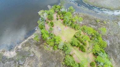Discover the beauty of coastal Georgia with setting your eyes on - photo 3