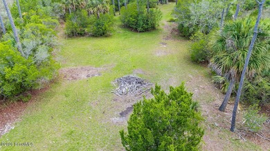 Discover the beauty of coastal Georgia with setting your eyes on - photo 4