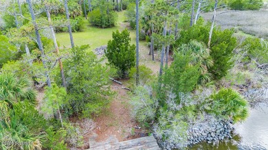 Discover the beauty of coastal Georgia with setting your eyes on - photo 5