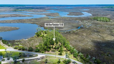 Discover the beauty of coastal Georgia with setting your eyes on - photo 6