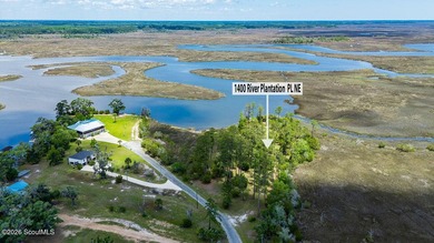 Discover the beauty of coastal Georgia with setting your eyes on - photo 7